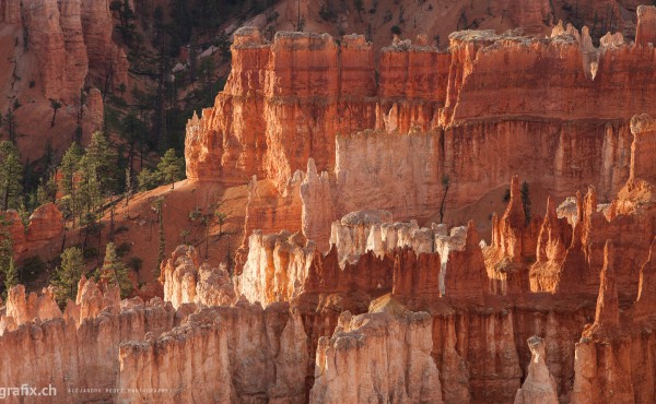 Hoodoos - Bryce Canyon